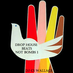 Drop HOUSE Beats Not Bombs 1-FREE Download!